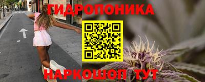 mdma Гатчина