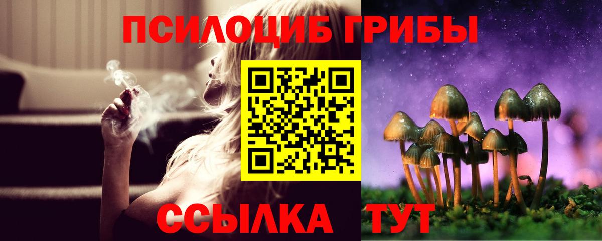 Галлюциногенные грибы Cubensis Ростов Великий