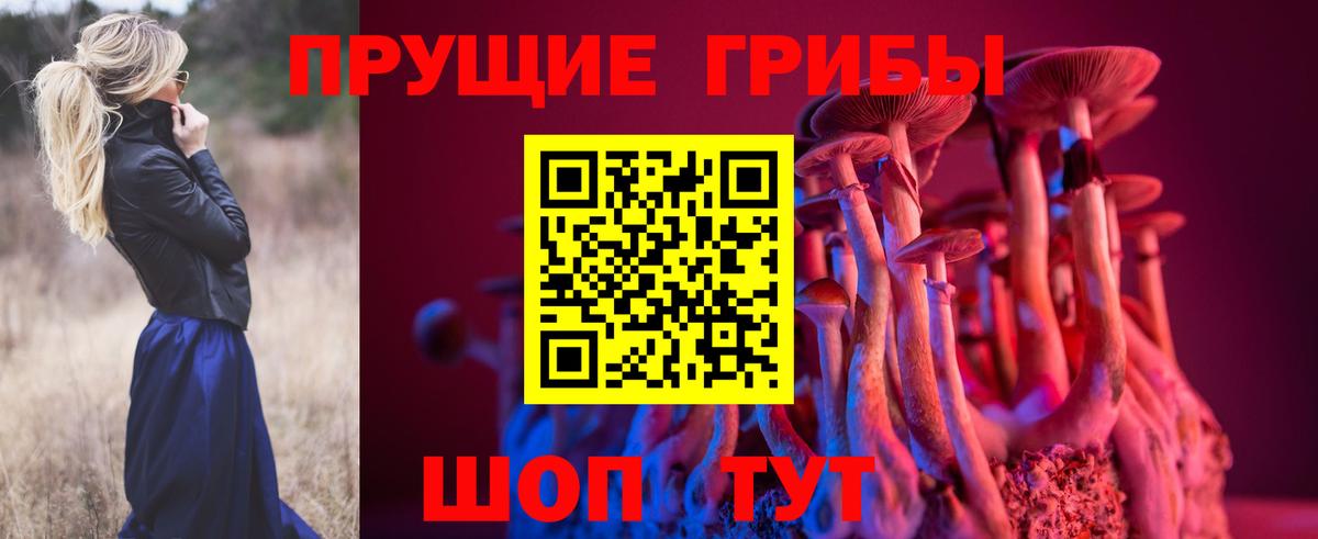 Псилоцибиновые грибы прущие грибы  как найти закладки  Ростов Великий  Вход с VPN 